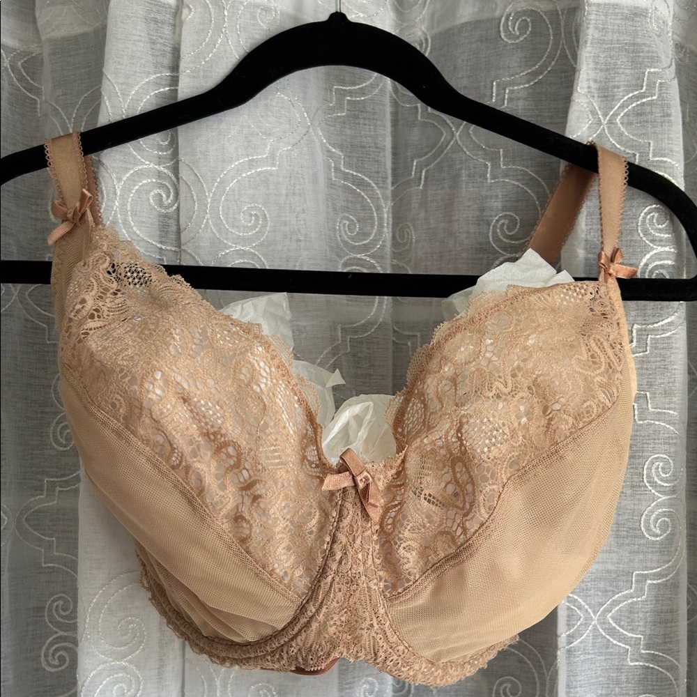 Lace Detail Bra in Beige